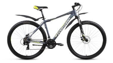 FORWARD APACHE 2.0 29 disc (2017, серый мат.) #0