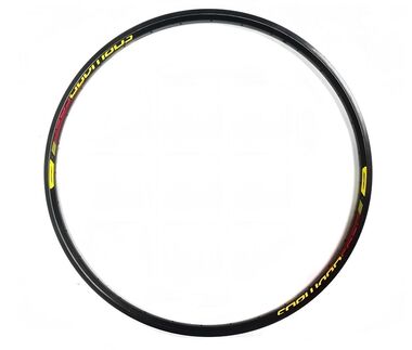 Обод 28"/29" алюминиевый двустеночный не пистонированный, под дисковый тормоз, 32 отв., A/V, FORWARD DW (черный, R0428P00BK01)