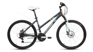 FORWARD IRIS 26 2.0 disc(2017, серый мат.) #0