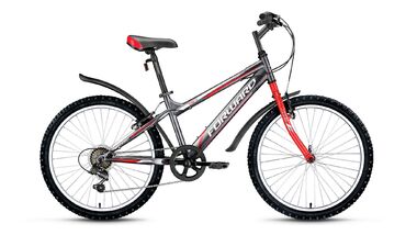 FORWARD TITAN 1.0 (2016, серый) #0