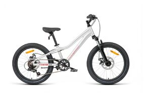Велосипед FORWARD TWISTER CX 20 10" 2026 серебристый, SPRT26F0087