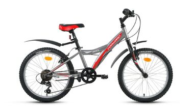 FORWARD DAKOTA 20 1.0 (2017, серый мат.) #0