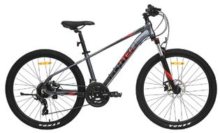 Neon 26х14 2024 серый